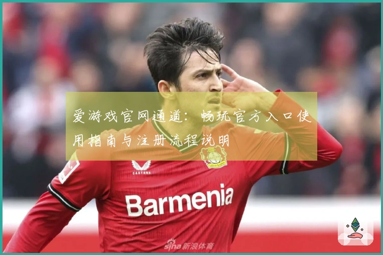 爱游戏官网通道：畅玩官方入口使用指南与注册流程说明