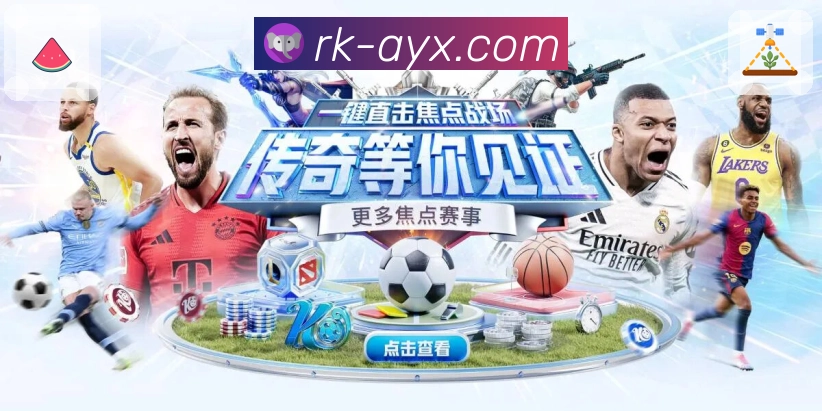 赛果说明
